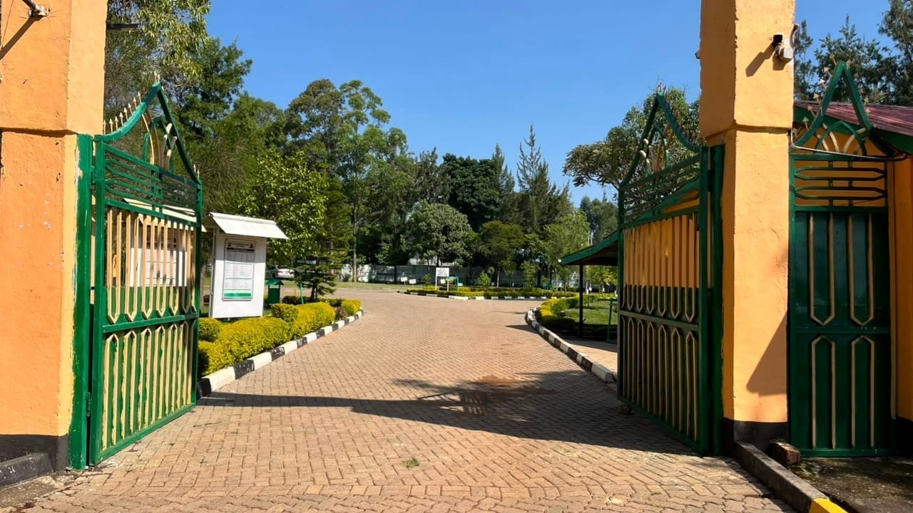 Campus Ambience