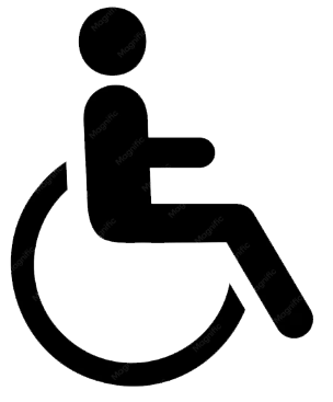 Accessibility Icon